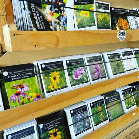 Prairie Moon Nursery Native Plant Seed Packs - Vinland Valley Nursery