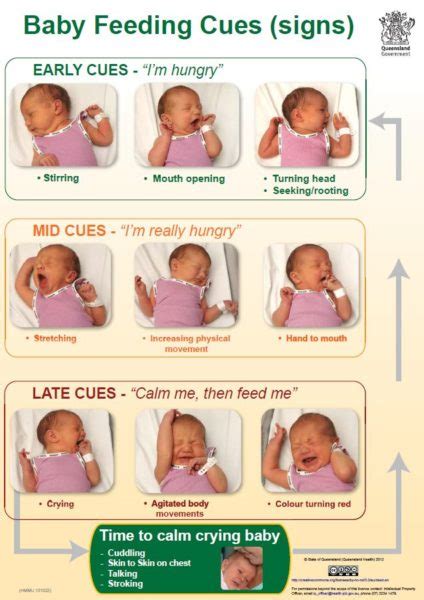 Baby Feeding Cues – WICstrong