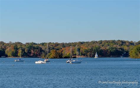 Carol Mattingly Photography: Sailboats on Old Hickory Lake