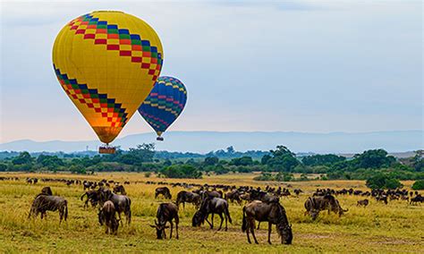 Kenya Wildlife Safari: Mount Kenya, Maasai Mara & Amboseli | EF Go ...