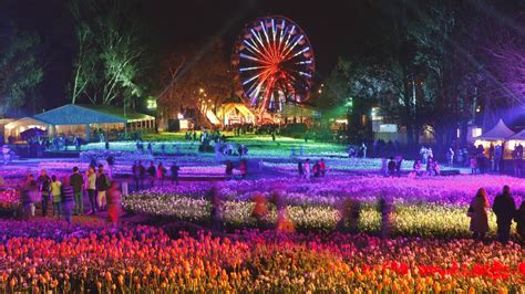 Win a trip to Floriade 2015 in Canberra | Mudgee Guardian | Mudgee, NSW