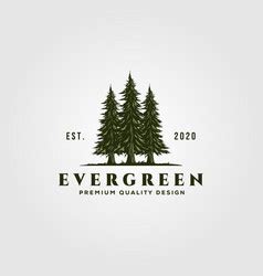 Vintage evergreen pine tree logo design Royalty Free Vector