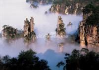 Tianzi Mountains Avatar - Tianzi Mountains China Photos, Zhangjiajie ...