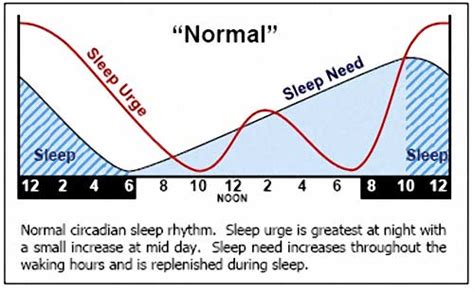 Your Body Clock and How It Affects Your Overall Health