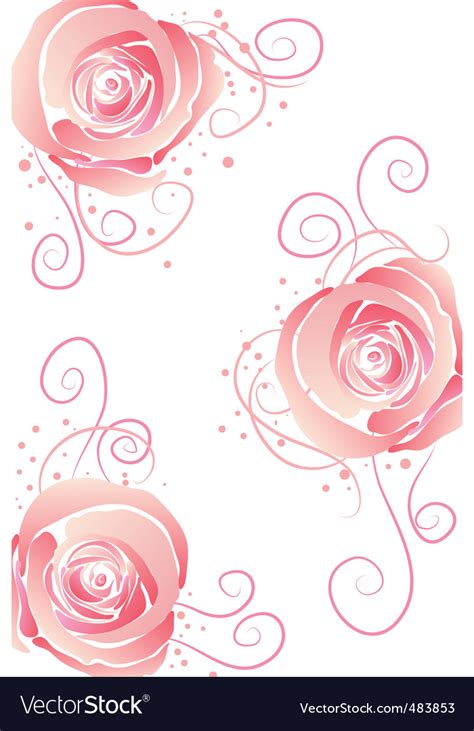 Pink roses Royalty Free Vector Image - VectorStock