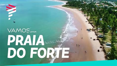 Verano en Bahía— Praia do Forte - YouTube