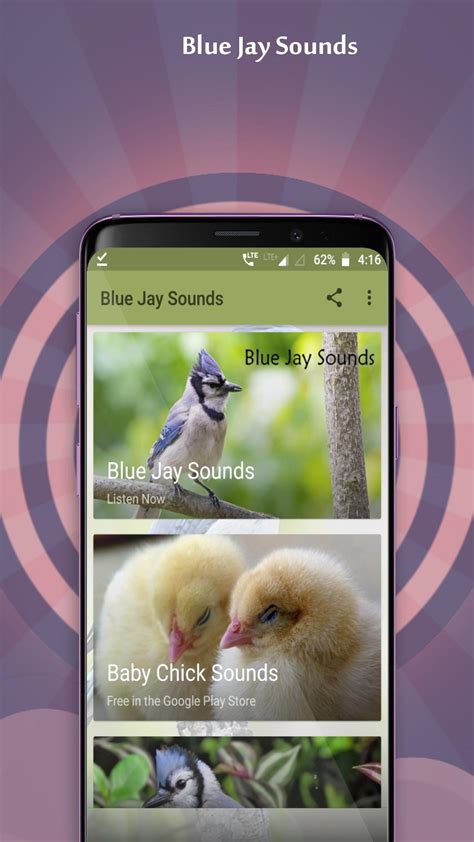 Blue Jay Sounds APK for Android Download