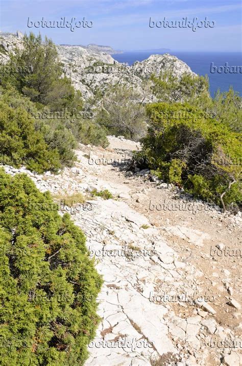 Image Hiking trail, Calanques National Park, France - 533161 - Images ...