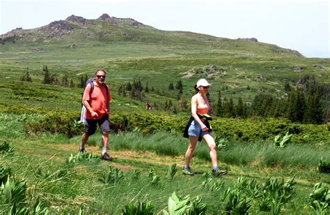 Vitosha & Cherni Vrah Peak Hiking Day Tour From Sofia. Guided & Self ...