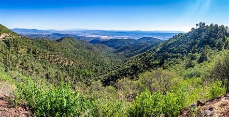 White Mountains (Arizona)