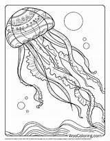 100  Jellyfish coloring Pages Free PDF To Print Woo Coloring sketch template