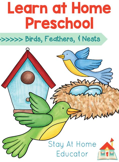 Lesson Plan Ideas For Preschool Teachers - BEST GAMES WALKTHROUGH