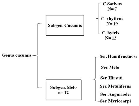 Classification of Cucumis genus | Download Scientific Diagram