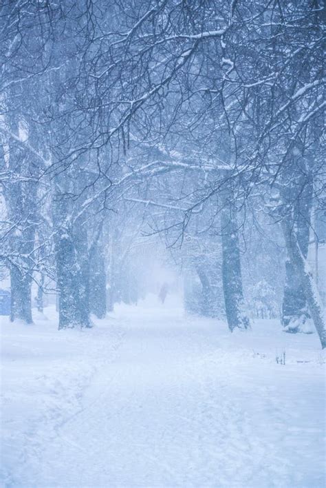 Vertical Photo of the Wood Alley in the Snow Stock Photo - Image of ...