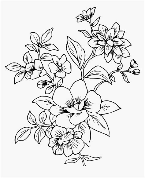 Transparent Flower Drawing Png - Flower Line Drawing Png, Png Download ...