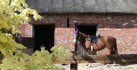 Stables at Hucklesbrook Farm - New Forest Holiday Cottage