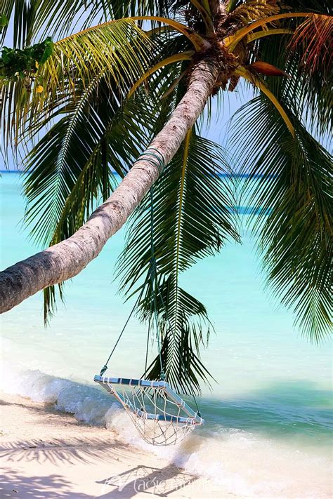 Hammock on Tropical Beach Wallpaper Mural by Magic Murals