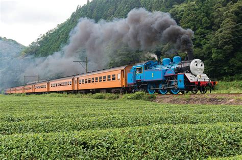 Oigawa Railway: A Journey To Remember | OISHII