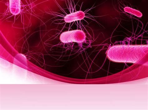 microbiology template - Pesquisa Google | Powerpoint free, Powerpoint ...