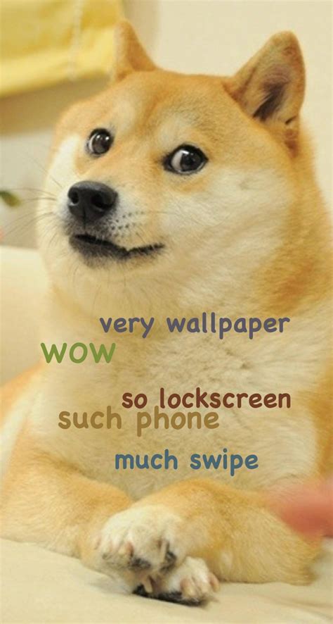 🔥 [50+] Doge Meme Wallpapers | WallpaperSafari