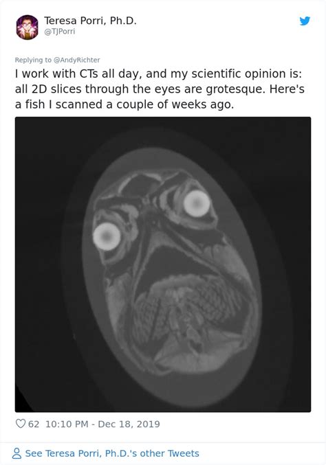 Someone Shows What A Pug’s MRI Scan Looks Like And It’s Pretty Terrifying | Bored Panda