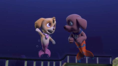 Image - PAW.Patrol.S02E16.Pups.Save.a.Mer-Pup.720p.WEBRip.x264.AAC 816149.jpg | PAW Patrol Wiki ...