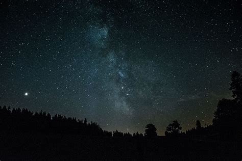 HD wallpaper: silhouette of trees during night time, forest, star, sky ...