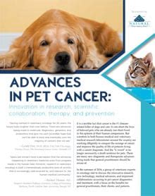 Advances in Pet Cancer Treatment and Prevention Spread Hope - Tripawds Downloads