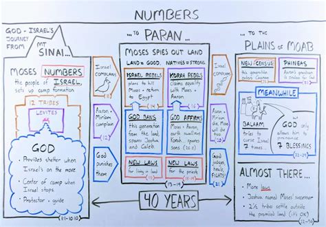 The Book of Numbers: The Beginner's Guide and Summary | Bible study ...