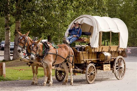 USA, Alaska, Talkeetna. Covered wagon pulled by two mules is a tour taxi for the town. - Stock ...