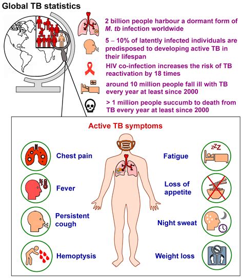 IJMS | Free Full-Text | Tuberculosis: Pathogenesis, Current Treatment Regimens and New Drug Targets