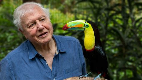 Life in Color With David Attenborough - Netflix Series - Where To Watch