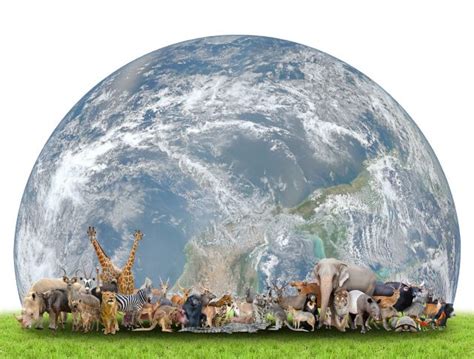 10 INTERESTING FACTS ABOUT THE EARTH | Animals of the world, Animal magazines, 10 interesting facts