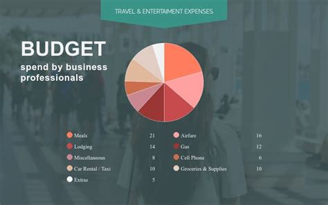 Budget Pie Chart Infographic Template | Visme