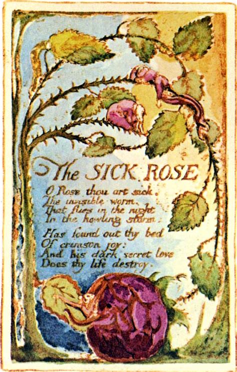 A Burning Fire in My Bones: This week's poem: "The Sick Rose" by William Blake