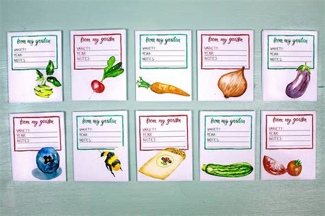 Seed Packet Printable, Vegetable Seeding Edition, Direct Download Seed ...