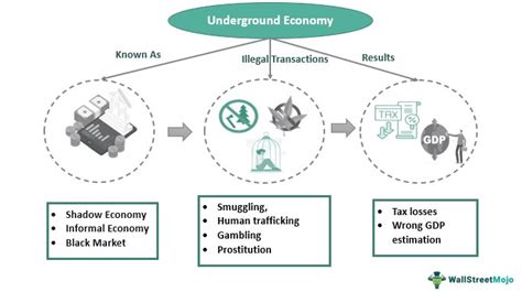 Underground Economy - What Is It, Causes, Effects, Examples