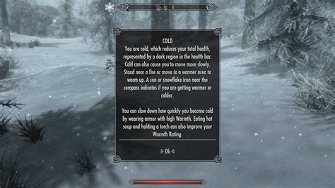 Skyrim Survival Mode Forces You to Fight the Elements - Legit Reviews