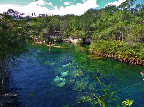 Everyone's favorite cenote to visit-El Jardin Del Eden