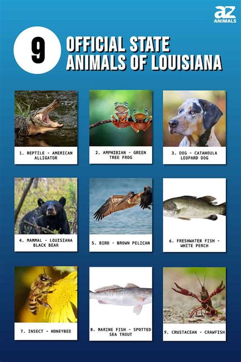 Louisiana State Animal