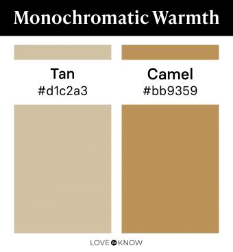 Beige & Tan Color Schemes That Are Anything but Boring | LoveToKnow