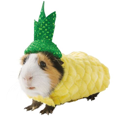 PetSmart Line of Guinea Pig Halloween Costumes | PEOPLE.com