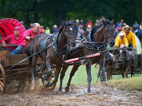 National Chuckwagon Race Championship - Sports Illustrated