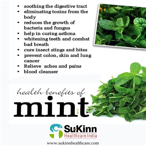 health benefits of mint | Health, Health benefits, Health tips