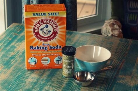 DIY Homemade Baking Soda Carpet Freshening Powder