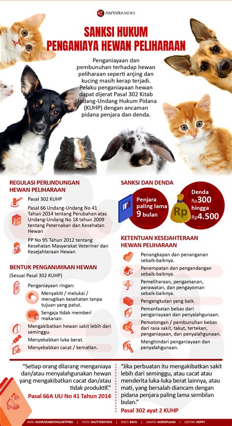 Sanksi hukum penganiaya hewan peliharaan - Infografik ANTARA News