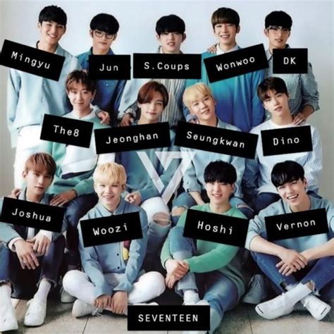 Seventeen Members Phone Number, Email ID, Address, Fanmail, Tiktok and More | Seventeen kpop ...