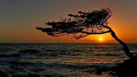 California Sunset Wallpaper - WallpaperSafari