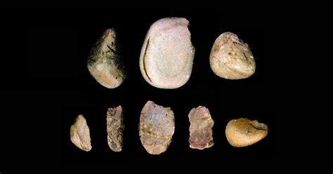 Discovery of prehistoric stone tools in Spain