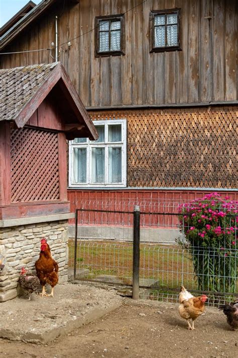 Typical Rural Architecture of Romania Countryside with Sunny Green Courtyard and Tiled Roof ...